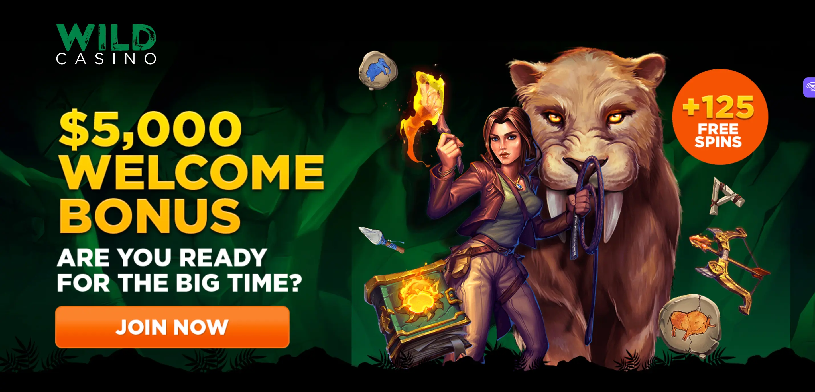 Wild Casino Online Casino Bonus